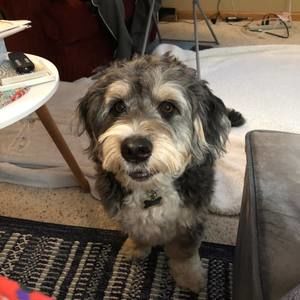 Meet your Posher, Ann